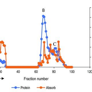 Chromatogram Of Amylase Produced By A Flavus On Ion Exchange Column