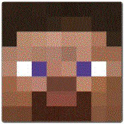 Steve Face Icon