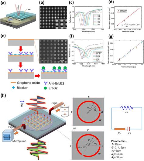 Cancer Biomarkers Detection A Schematic Of The Metasurface With A