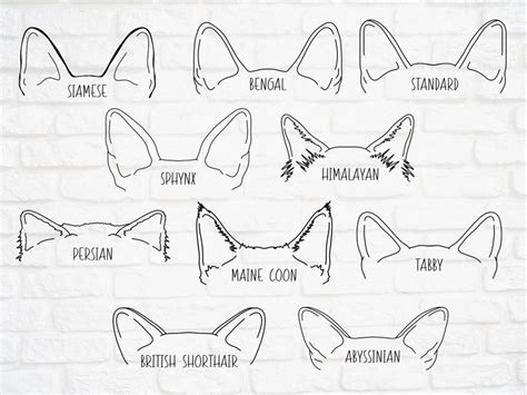 Cat Ears Outline Drawing Svg Bundle With Breeds Etsy