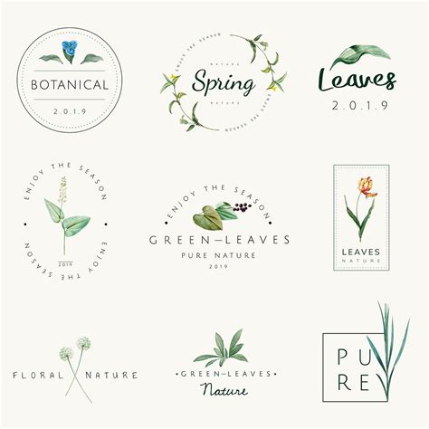 set  botanical logo design vectors  vector