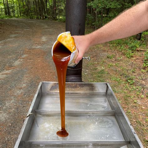 Wood-Fired Beer - Vermont Evaporator Company