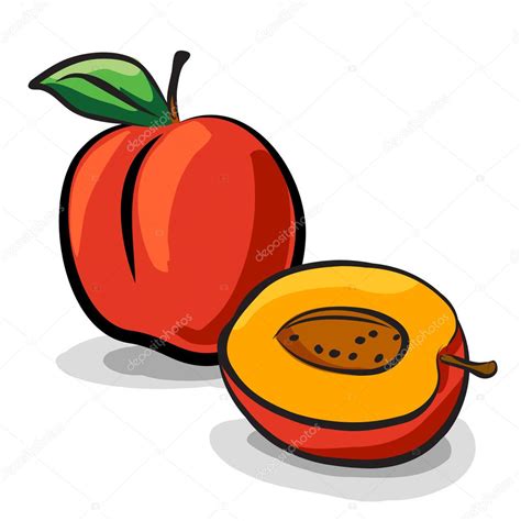 Frutas Durazno Croquis Dibujo Vector Conjunto Foto De Stock Pixachi