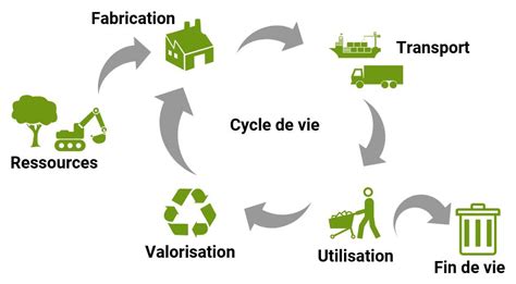 Le Saviez Vous Lanalyse Du Cycle De Vie Cellule Environnement D