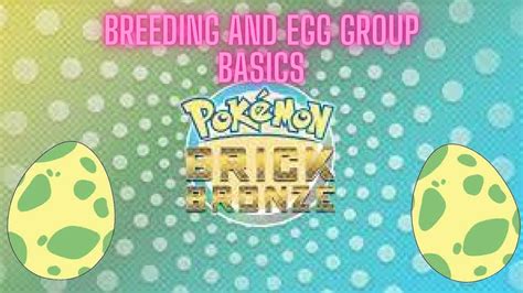 egg group breeding guide  karen medina blog
