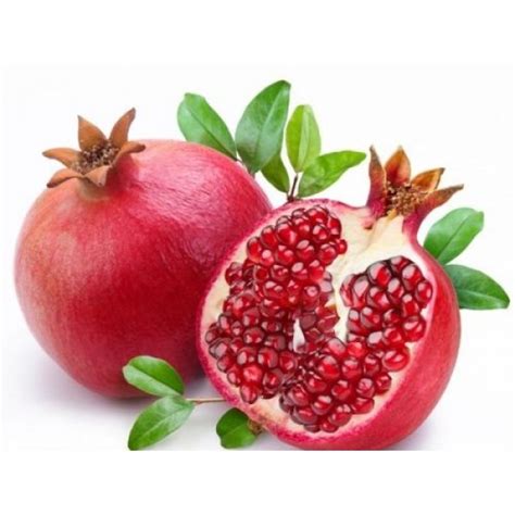 Pomegranate - Bio.IskamGo.com | Pomegranate Seedlings For Sale