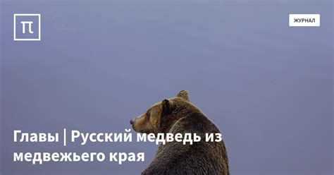 Главы | Русский медведь из медвежьего края — все самое интересное на ...