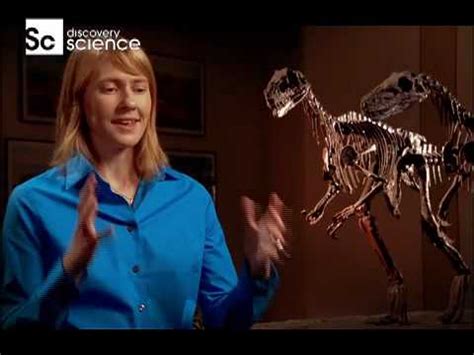 T REX SEX Rituali D Accoppiamento Tra Dinosauri Discovery Science SKY YouTube