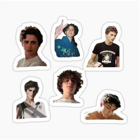 Regalos Y Productos Timothee Chalamet Timothee Chalamet Pegatinas