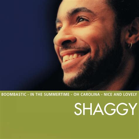 Shaggy Boombastic Album