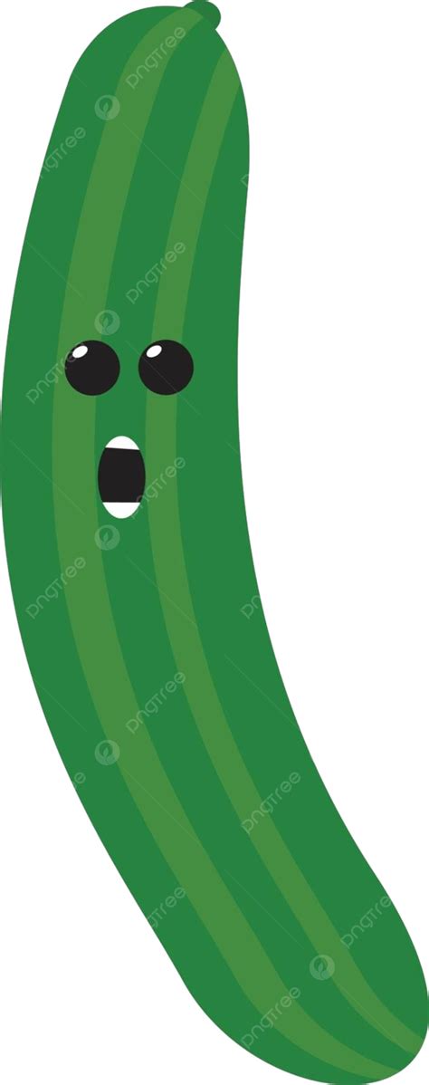 Fresh Cucumber Vector Or Color Illustration Illustration Nutrition