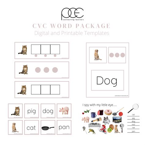 CVC Package (Digital and Printable) $12.99 - Passionately Curious Educators