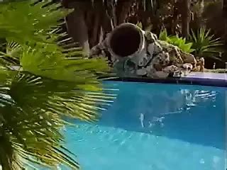 Rashneen Kerim Koram Porn Videos 2025 Porn Star Sex Scenes XHamster