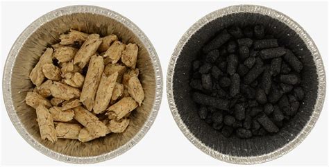 biochar