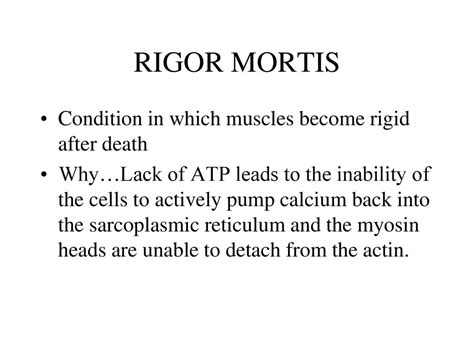 The Muscular System Ppt Download