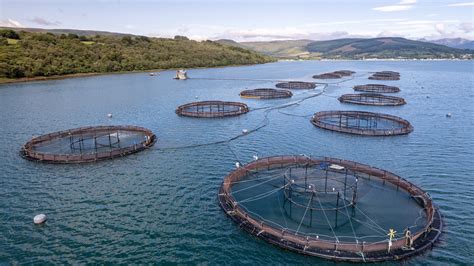 Fishery And Aquaculture Support Provided By European Commission