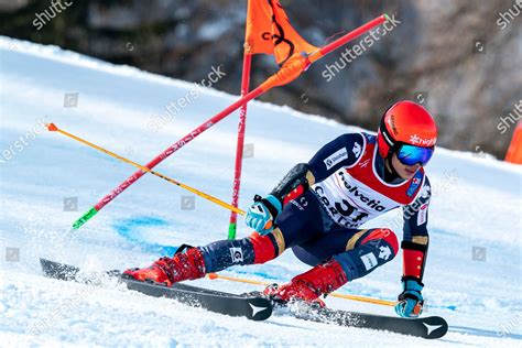 Dongkwan Hong Kor Competing Telepass Fis Editorial Stock Photo Stock