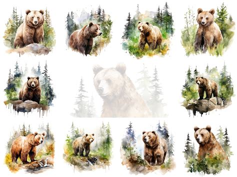 Bear Watercolor Paintings Collection Graphic by Andreas Stumpf Designs ...