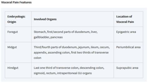 Emergency Medicine Acute Abdominal Pain Flashcards Quizlet