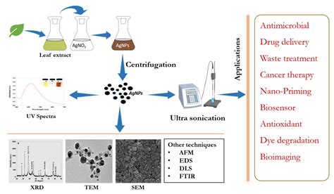 Surfaces Free Full Text Biogenic Synthesis Of Silver Nanoparticles