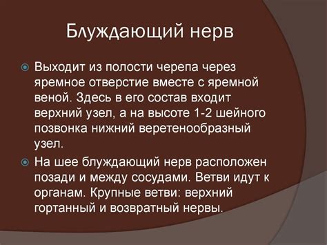 «Блуждающий нерв» - нерв, который влияет почти на каждый внутренний орган.