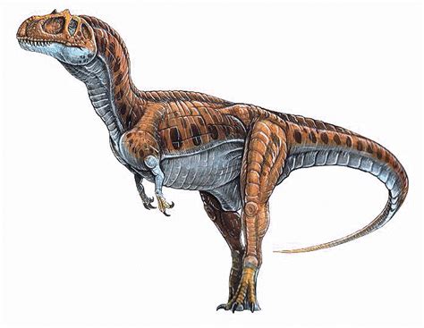 Dinosaur King Eustreptospondylus