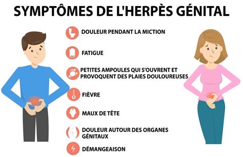 Tout sur l herpès génital une IST fréquente