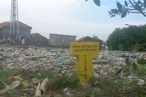 Foto Seperti Lautan Tumpukan Sampah Di Muara Sungai BKT Semarang