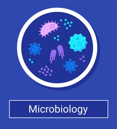 Bacteria Enumeration Definition Methods Example Conduct Science