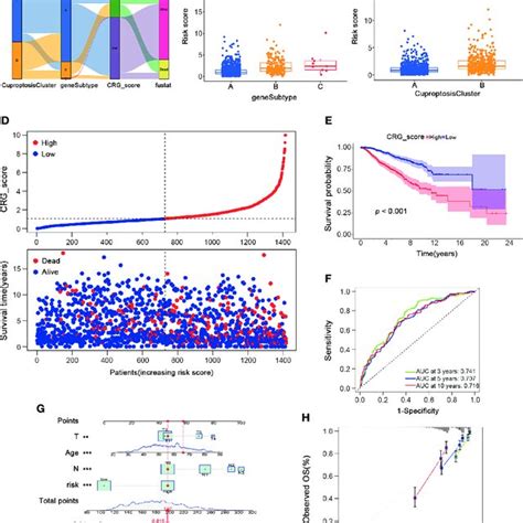 Development Of The Cuproptosis Related Gene Signature And Crg Score In