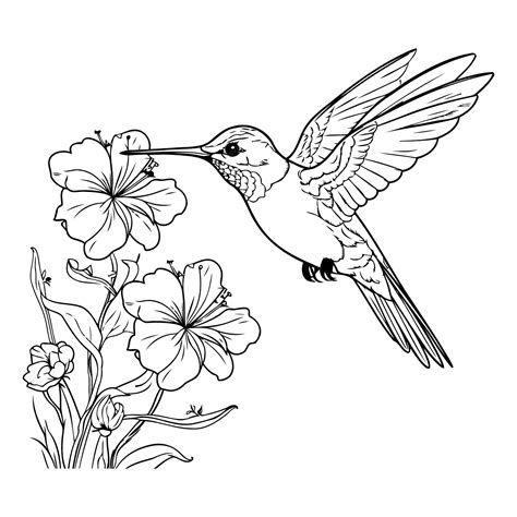 I Colibri Libro Sui I Colibri Per Bambini Con Foto Stupende Storie Divertenti 9