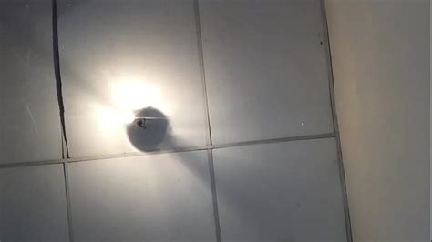 Bumbum Gostoso Videos XVIDEOS