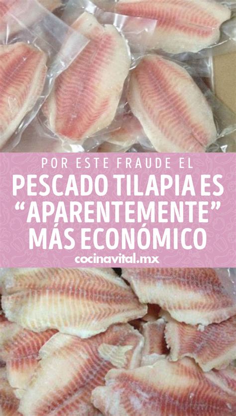 Por Este Fraude El Pescado Tilapia Es Aparentemente M S Econ Mico