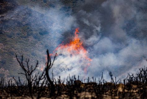 El Fuego Arrasa Hect Reas En Una Semana Hasta Las