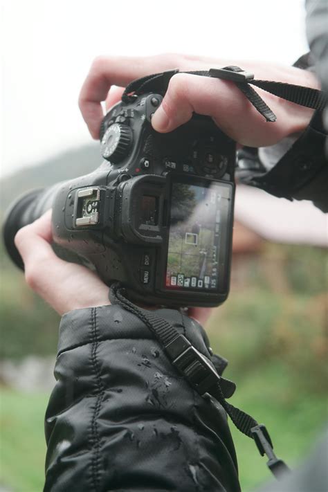 Бесплатные стоковые фото на тему dslr, iso, nikon, боке, бросок ...