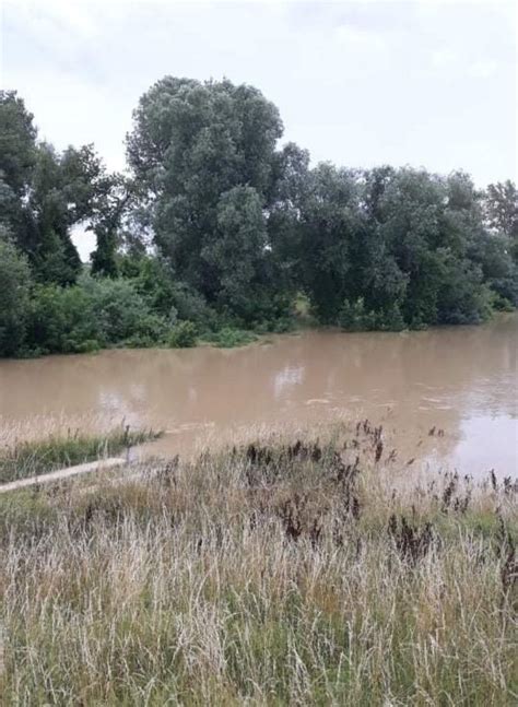 UVEDENA REDOVNA ODBRANA OD POPLAVA NA TAMIŠU ZR Klik