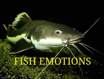 Post Hot And Sexy Old Man Zuko Tumblr Tumbex