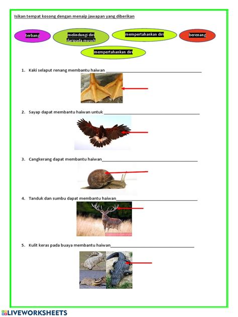 Latihan Kepentingan Bahagian Tubuh Badan Haiwan Pdf