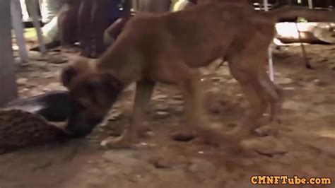 ENF TV Reporter Has To Get Naked For Amazon Tribe Report Porn Videos