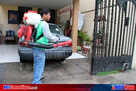 Hoy Tamaulipas Exhortan En Tamaulipas A Fumigar Casas Para Evitar