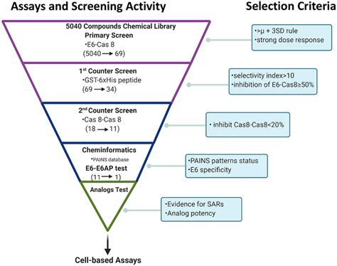 summary  high content screening strategy screening funnel scheme