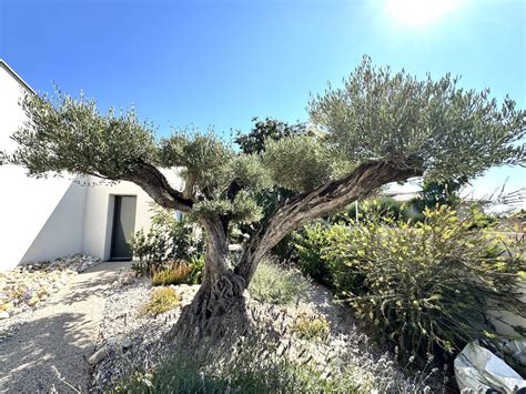 Recherche votre séjour gay friendly de rêve