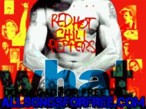 Red Hot Chili Peppers Knock Me Down What Hits Youtube