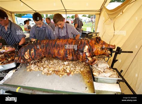 Hog Roast At Burwarton Show Shropshire West Midlands England Uk Stock