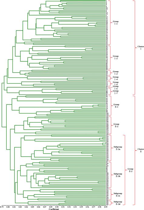 Genetic Dendrogram Of 168 Mango Accessions Based On Scot Markers Note Download Scientific