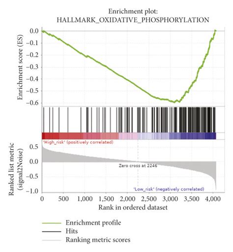 Significant Enriched Pathways Of The Low And High Risk Groups By Gsea