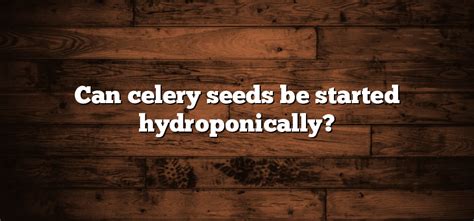 Can Celery Seeds Be Started Hydroponically Inter Culturalu