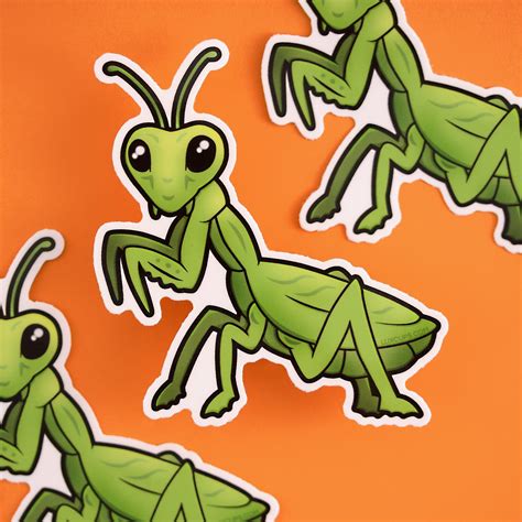 Praying Mantis Sticker — Luxcups Creative