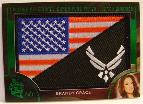 BRANDY GRACE 1 1 PLEDGE ALLEGIANCE FLAG PATCH HOT FOR TEACHER BENCH