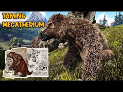 Banyak Yg Gatau Hewan Ini Taming Megatherium Si Penghancur Serangga